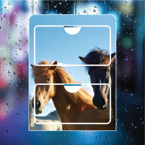 Horses - Double Pocket Rego/RUC Holder