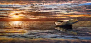 Print: "Still" - Paul Coney