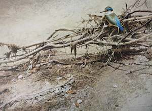 "Sacred Kingfisher" - Raymond Ching