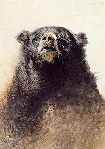 "Bear" - Raymond Ching