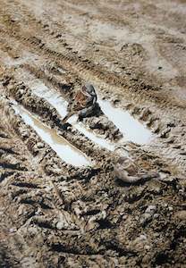 "Hard Times - Sparrow Pair" - Raymond Ching