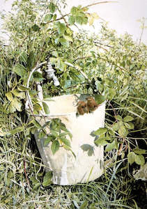 "Summer Afternoon" - Raymond Ching