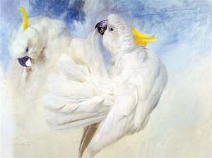 Raymond Ching: "Sulphur-Crested Cockatoos" - Raymond Ching