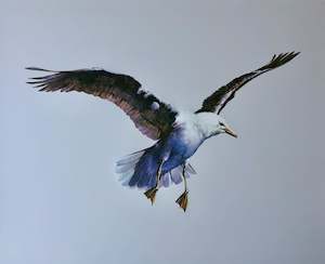 "Seagull" - Bruce Harvey