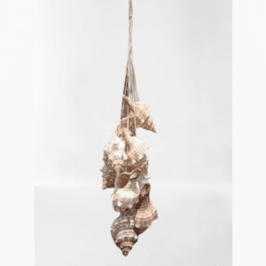 Shells: Fox Hanging Shells