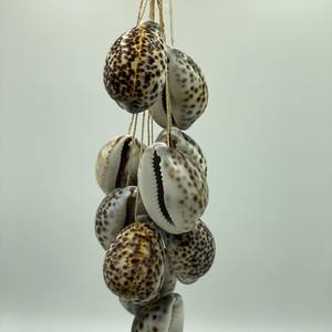 Tiger Cowrie Hanging Shells
