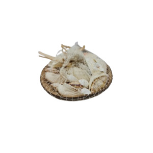 Mixed Shells in Coconut Shell