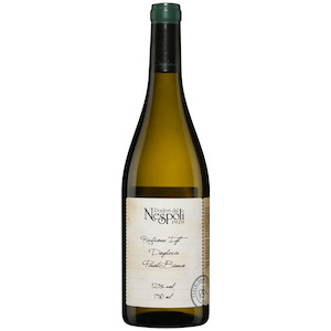 Products: Poderi dal Nespoli Pinot Bianco Rubicone - Fine-O-Wine ( Organic & Natural Wines )