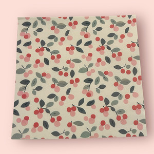 Water Soluble Clay Transfer - Holly 3 Finesse Mediums