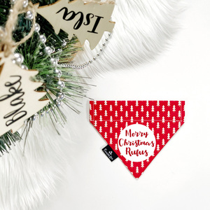Personalised Pet Bandana FinndieLoo