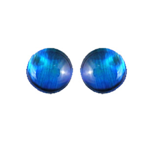 Nz Made Jewellery: Paua 6mm Round Stud Earrings