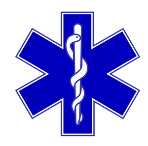 Star of Life Decal 4 Inch