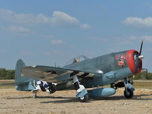 Arf Pnp Aircraft: Blackhorse Giant Scale P47 (with E/Retracts)