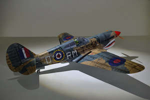 Phoenix Model Arfs: Phoenix Models 50cc P40 Warhawk - PH216