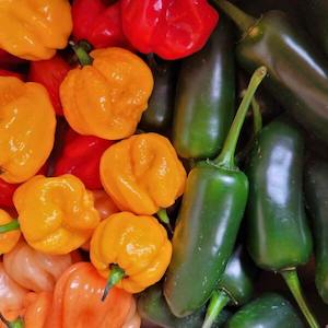 Products: Fiddy Box Fresh Chillies - Fire Dragon Chillies