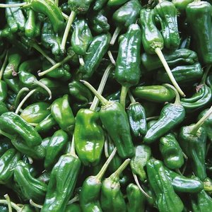 Products: Pimenta de Padron - Fire Dragon Chillies