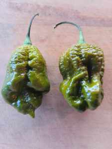 Products: Big Mustard Mama - Fire Dragon Chillies