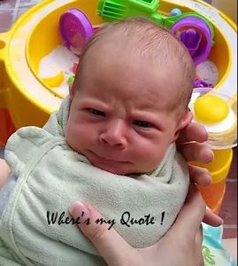 Quotes
