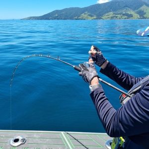 Products: Rods