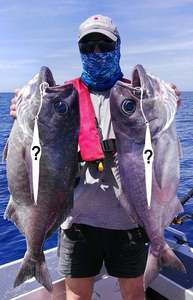 Latest Fishing Innovation