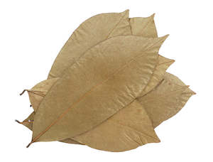 Soursop Leaves