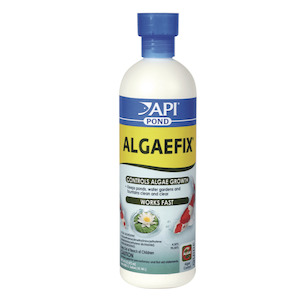 Water Care: API Pond Algaefix