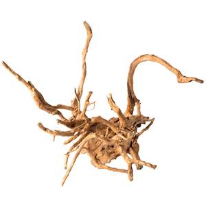 Spider Root Wood
