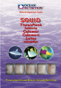 Ocean Nutrition Frozen Squid