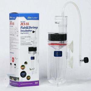 All Accessories: Ziss Egg Tumbler