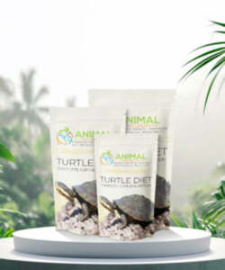 Foods: Animal Wellbeing - Turtle Diet