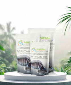 Foods: Animal Wellbeing - African Diet