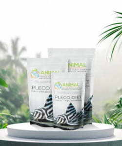 Foods: Animal Wellbeing - Pleco Diet