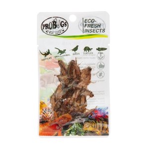 Pro Bugs: Pro Bugs Crickets