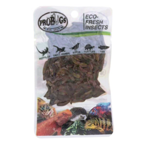 Pro Bugs: Pro Bugs Black Soldier Fly Larvae