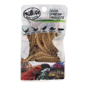 Pro Bugs: Pro Bugs Superworms