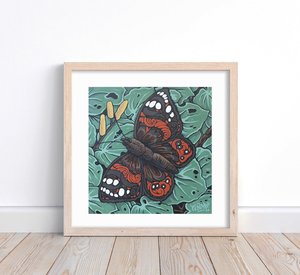 Products: Kahukura, Red Admiral Butterfly - G.Parker