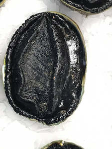 Products: Frozen whole Paua 350-400 gram