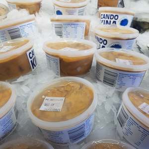 Shellfish: Fresh South Island Kina pots