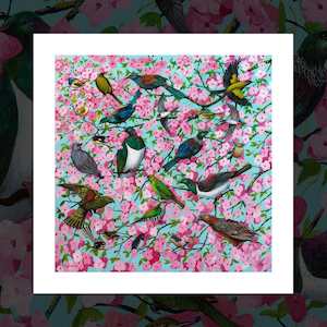 "Sakura" bird art print by Frank Gordon