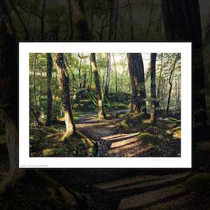 “Routeburn Track II” signed art print by Sam Foley
