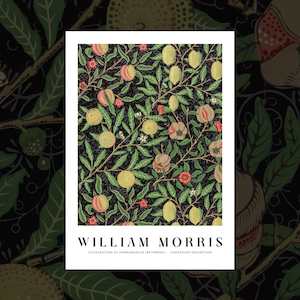 'Illustrations of Pomegranate Reversed' art print by William Morris