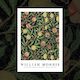 'Illustrations of Pomegranate Reversed' art print by William Morris