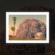 "The World’s Biggest Hydrangea Bush" art print by Simon Stockley