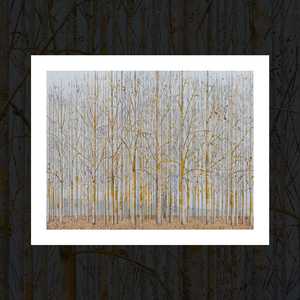 Premium Art Prints: "Road to Mahia" art print by Angus Collis