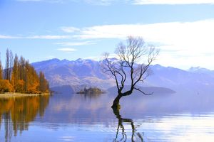 Southern New Zealand Signature