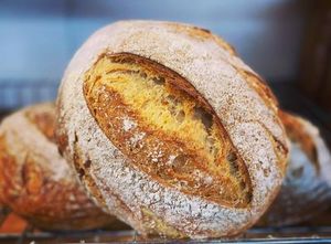 Janus Bakkerij: Sourdough Loaf - Sat, Sun, Mon, Tues