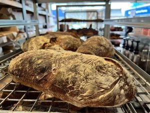 Janus Bakkerij: Ciabatta - Saturdays and Thursday 17th April