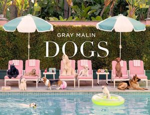 Lifestyle & Travel: Gray Malin: Dogs: Photographs