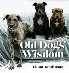 Old Dogs’ Wisdom