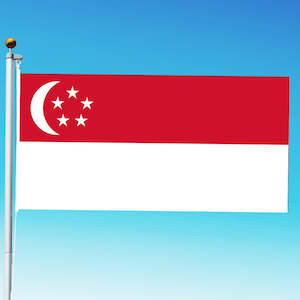 Other Country Flags Buntings: Premium Singapore Flag NZ Standard Size